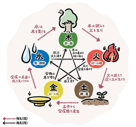 五行 金 性質|五行の「金」にまつわるあれこれ